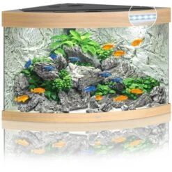Juwel Aquarium-Set Trigon LED Helles Holz 190 L -Doppler Verkäufe 2024 0 trigon190ledhellesholz 2