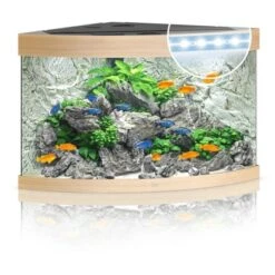 Juwel Aquarium-Set Trigon LED Helles Holz 190 L -Doppler Verkäufe 2024 0 trigon190ledhellesholz 5