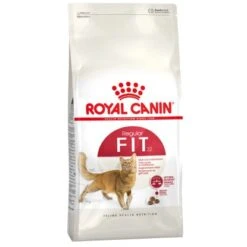 Royal Canin Fit Trockenfutter Aktive Katzen 10 Kg