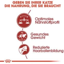 Royal Canin Fit Trockenfutter Aktive Katzen 10 Kg 12 Royal Canin Fit Trockenfutter Aktive Katzen 10 Kg -Doppler Verkäufe 2024 113089 3180 2