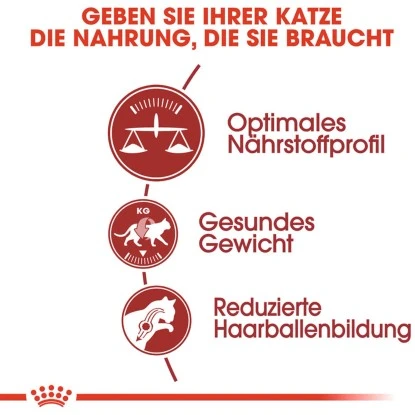 Royal Canin Fit Trockenfutter Aktive Katzen 10 Kg 5 Royal Canin Fit Trockenfutter Aktive Katzen 10 Kg – Bild 3