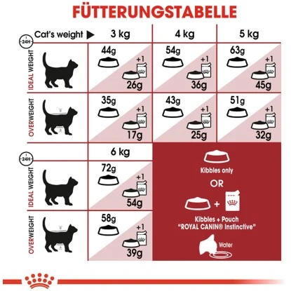 Royal Canin Fit Trockenfutter Aktive Katzen 10 Kg 7 Royal Canin Fit Trockenfutter Aktive Katzen 10 Kg – Bild 5