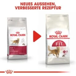 Royal Canin Fit Trockenfutter Aktive Katzen 10 Kg 16 Royal Canin Fit Trockenfutter Aktive Katzen 10 Kg -Doppler Verkäufe 2024 113089 3180 6