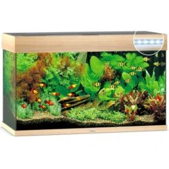 Juwel Aquarium-Set Rio LED Helles Holz 125 L -Doppler Verkäufe 2024 125ledhellesholzaquarium 2