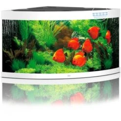 Juwel Aquarium-Set Trigon LED Weiß 350 L 10 Juwel Aquarium-Set Trigon LED Weiß 350 L -Doppler Verkäufe 2024 13j15450 trigon350ledwei 2