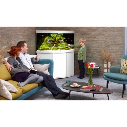 Juwel Aquarium-Set Trigon LED Weiß 350 L 7 Juwel Aquarium-Set Trigon LED Weiß 350 L – Bild 5