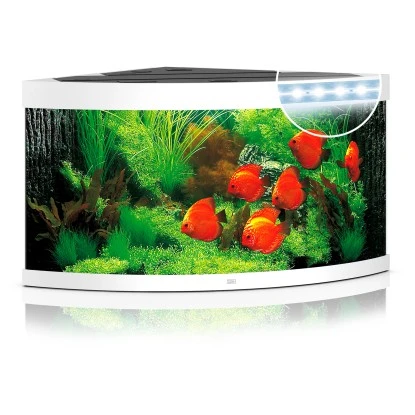 Juwel Aquarium-Set Trigon LED Weiß 350 L 8 Juwel Aquarium-Set Trigon LED Weiß 350 L – Bild 6