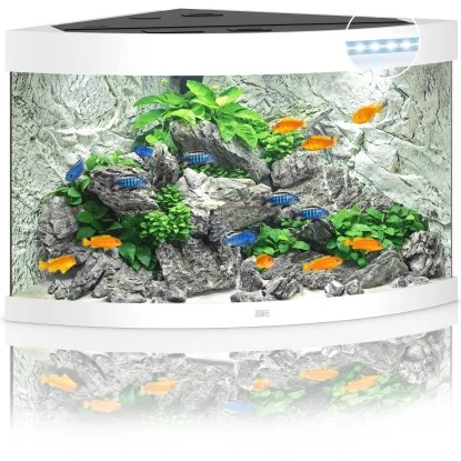 Juwel Aquarium-Set Trigon LED Weiß 190 L 5 Juwel Aquarium-Set Trigon LED Weiß 190 L – Bild 3