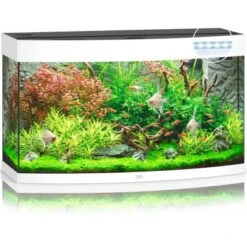 Juwel Aquarium-Set Vision LED Weiß 180 L -Doppler Verkäufe 2024 13j9450 vision180ledwei 2