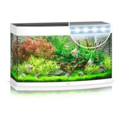 Juwel Aquarium-Set Vision LED Weiß 180 L -Doppler Verkäufe 2024 13j9450 vision180ledwei 5