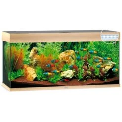 Juwel Aquarium-Set Rio LED Helles Holz 180 L -Doppler Verkäufe 2024 180ledhellesholzaquarium 2