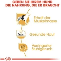 Royal Canin French Bulldog Adult Hundefutter Trocken Franz. Bulldoggen 3 Kg -Doppler Verkäufe 2024 183884 3180 3