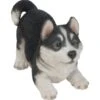 Deko-Figur Hundewelpe Husky 19 Cm 2 Deko-Figur Hundewelpe Husky 19 Cm -Doppler Verkäufe 2024 262488 4179 1