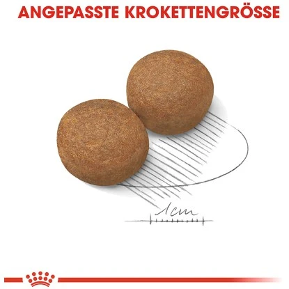 Royal Canin Maxi Adult 5+ Trockenfutter Für ältere Große Hunde 4 Kg 5 Royal Canin Maxi Adult 5+ Trockenfutter Für ältere Große Hunde 4 Kg – Bild 3