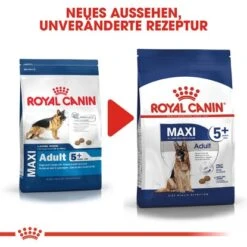 Royal Canin Maxi Adult 5+ Trockenfutter Für ältere Große Hunde 4 Kg 9 Royal Canin Maxi Adult 5+ Trockenfutter Für ältere Große Hunde 4 Kg -Doppler Verkäufe 2024 3182550402316 3180 AI 03