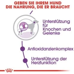 Royal Canin Giant Adult Trockenfutter Für Sehr Große Hunde 15 Kg -Doppler Verkäufe 2024 318255070307 3180 3