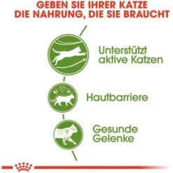 Royal Canin Outdoor Katzenfutter Trocken Für Freigänger 2 Kg -Doppler Verkäufe 2024 318255070737 3180 3
