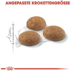 Royal Canin Outdoor Katzenfutter Trocken Für Freigänger 2 Kg -Doppler Verkäufe 2024 318255070737 3180 4