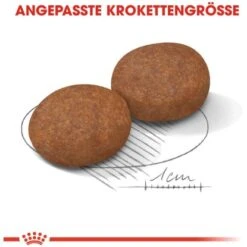 Royal Canin Medium Adult 7+Trockenfutter Für ältere Mittelgroße Hunde 4 Kg -Doppler Verkäufe 2024 318255070820 3180 4