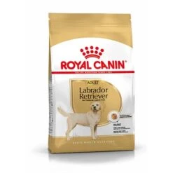 Royal Canin Labrador Retriever Adult Trockenfutter Für Labrador Retriever 3 Kg