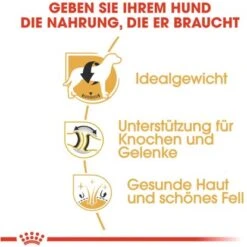 Royal Canin Labrador Retriever Adult Hundefutter Trocken 12 Kg -Doppler Verkäufe 2024 318255071564 3180 3