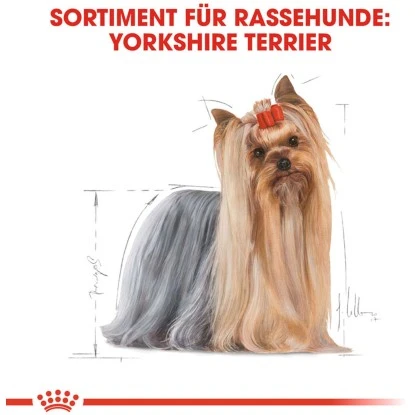 Royal Canin Yorkshire Terrier Adult Hundefutter Trocken 1,5 Kg 5 Royal Canin Yorkshire Terrier Adult Hundefutter Trocken 1,5 Kg – Bild 3