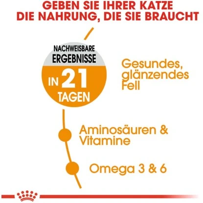 Royal Canin Hair & Skin Care Katzenfutter Trocken Für Gesundes Fell 2 Kg 5 Royal Canin Hair & Skin Care Katzenfutter Trocken Für Gesundes Fell 2 Kg – Bild 3