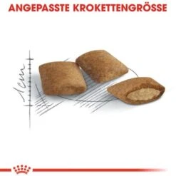 Royal Canin Ageing 12+ Trockenfutter Für ältere Katzen 2 Kg -Doppler Verkäufe 2024 318255078621 3180 4