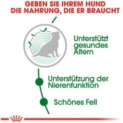 Royal Canin Mini Ageing 12+ Trockenfutter Für ältere Kleine Hunde 1,5 Kg -Doppler Verkäufe 2024 3182550793582 3180 AI 03