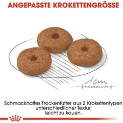 Royal Canin Mini Ageing 12+ Trockenfutter Für ältere Kleine Hunde 1,5 Kg -Doppler Verkäufe 2024 3182550793582 3180 AI 04