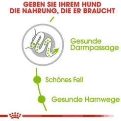 Royal Canin X-Small Adult Trockenfutter Für Sehr Kleine Hunde 1,5 Kg 13 Royal Canin X-Small Adult Trockenfutter Für Sehr Kleine Hunde 1,5 Kg -Doppler Verkäufe 2024 318255079372 3180 3