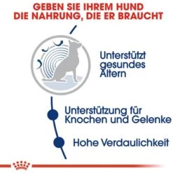 Royal Canin Maxi Ageing 8+ Trockenfutter Für ältere Große Hunde 3 Kg 12 Royal Canin Maxi Ageing 8+ Trockenfutter Für ältere Große Hunde 3 Kg -Doppler Verkäufe 2024 3182550803113 3180 AI 03