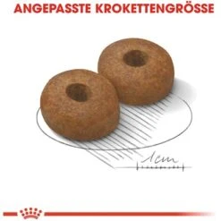 Royal Canin Maxi Ageing 8+ Trockenfutter Für ältere Große Hunde 3 Kg 13 Royal Canin Maxi Ageing 8+ Trockenfutter Für ältere Große Hunde 3 Kg -Doppler Verkäufe 2024 3182550803113 3180 AI 04