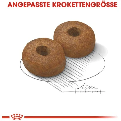 Royal Canin Maxi Ageing 8+ Trockenfutter Für ältere Große Hunde 3 Kg 7 Royal Canin Maxi Ageing 8+ Trockenfutter Für ältere Große Hunde 3 Kg – Bild 5