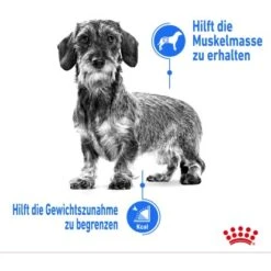 Royal Canin Trockenfutter Light Weight Care Mini Bei Übergewicht 3 Kg -Doppler Verkäufe 2024 318255089410 3180 2