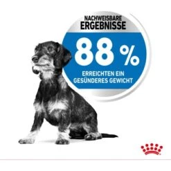 Royal Canin Trockenfutter Light Weight Care Mini Bei Übergewicht 3 Kg -Doppler Verkäufe 2024 318255089410 3180 3