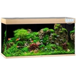 Juwel Aquarium-Set Rio LED Helles Holz 350 L 9 Juwel Aquarium-Set Rio LED Helles Holz 350 L -Doppler Verkäufe 2024 350ledhellesholzaquarium 2