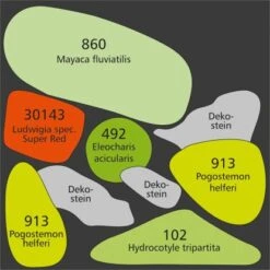 Dennerle Plants Aquariumpflanzen Set Nano Für 30 Liter Aquarien 7 Pflanzen -Doppler Verkäufe 2024 35184 3565 9160 pflanzplan