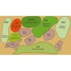 Dennerle Plants Aquariumpflanzen-Set Für 80 Cm Aquarium 16 Pflanzen -Doppler Verkäufe 2024 35196 3565 9163 pflanzplan