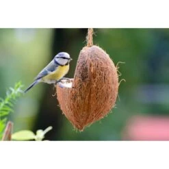 Dobar Vogelfutter-Mix 4 X Gefüllte Kokosnuss Und 2 X Riesenzapfen Mit Fettfutter -Doppler Verkäufe 2024 37 vogelfutterfuttermix 08 2