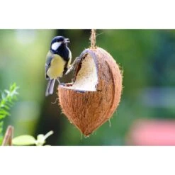 Dobar Vogelfutter-Mix 4 X Gefüllte Kokosnuss Und 2 X Riesenzapfen Mit Fettfutter -Doppler Verkäufe 2024 37 vogelfutterfuttermix 09 2