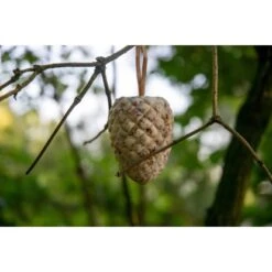 Dobar Vogelfutter-Mix 4 X Riesenzapfen, 4 X Meisenzapfen Mit Fettfutter-Füllung -Doppler Verkäufe 2024 37 vogelfutterfuttermix 09