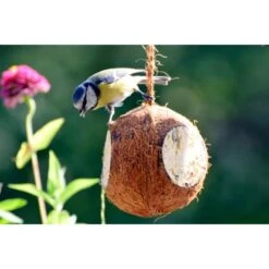 Dobar Vogelfutter-Mix 4 X Gefüllte Kokosnuss Und 2 X Riesenzapfen Mit Fettfutter -Doppler Verkäufe 2024 37 vogelfutterfuttermix 11 1