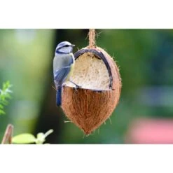 Dobar Vogelfutter-Mix 4 X Gefüllte Kokosnuss Und 2 X Riesenzapfen Mit Fettfutter -Doppler Verkäufe 2024 37 vogelfutterfuttermix 12