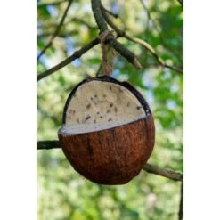 Dobar Vogelfutter-Mix 4 X Gefüllte Kokosnuss Und 2 X Riesenzapfen Mit Fettfutter -Doppler Verkäufe 2024 37 vogelfutterfuttermix 13