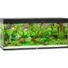 Juwel Aquarium-Set Rio LED Schwarz 240 L -Doppler Verkäufe 2024 4022573033502 3743 2