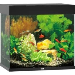 Juwel Aquarium-Set Lido LED Schwarz 120 L