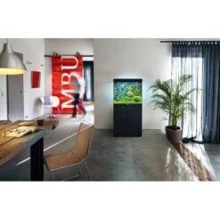 Juwel Aquarium-Kombination Lido LED SBX Schwarz 200 L 11 Juwel Aquarium-Kombination Lido LED SBX Schwarz 200 L -Doppler Verkäufe 2024 4022573119312 1331 5