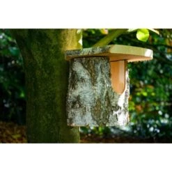 Birkenholz Nistkasten Naturbelassen 14 X 22 X 24 Cm FSC® -Doppler Verkäufe 2024 4042085220078 3856 5