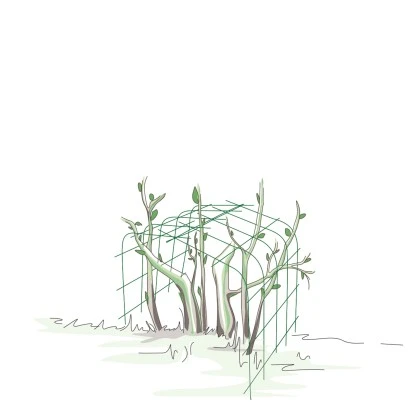 BellissaHortensien Stütze Annabelle 75 Cm Grün 2er Set 5 BellissaHortensien Stütze Annabelle 75 Cm Grün 2er Set – Bild 3